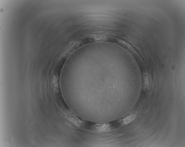 X0000074940667200609081352