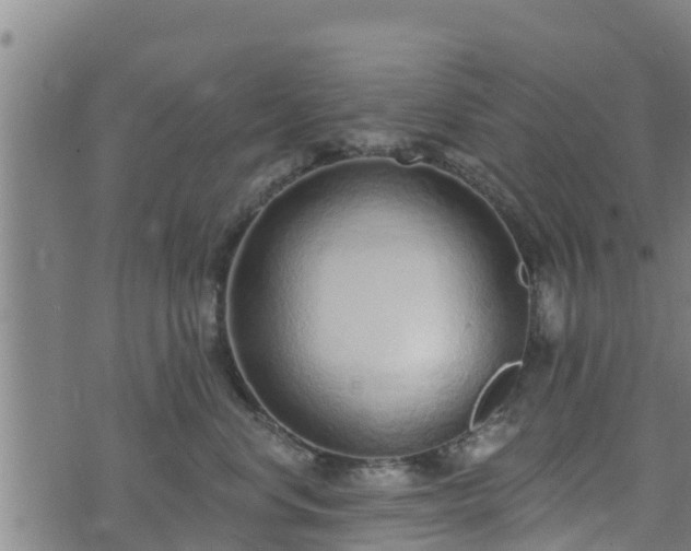 X0000074940668200609081352