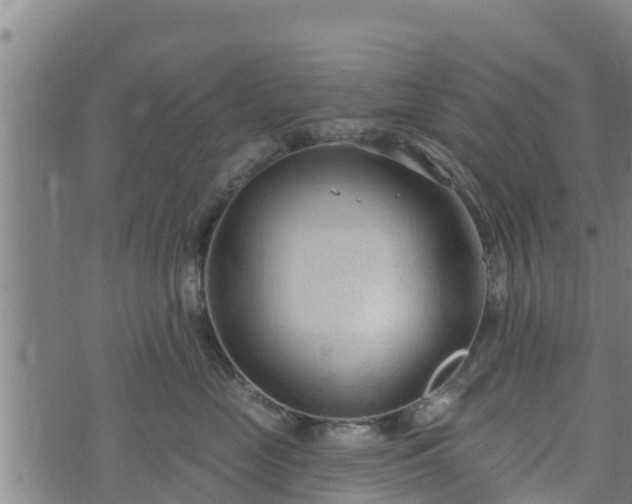 X0000074940669200609081352