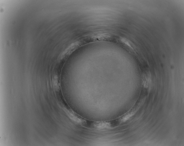 X0000074940670200609081352