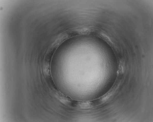 X0000074940671200609081352