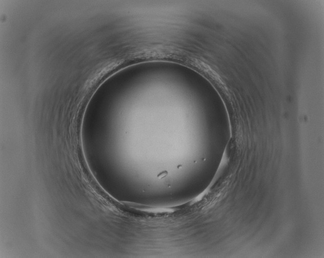 X0000074940673200609081351