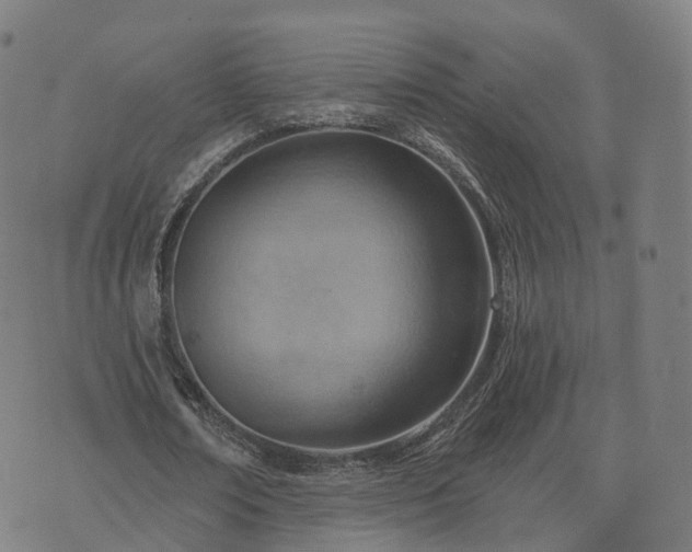 X0000074940674200609081351