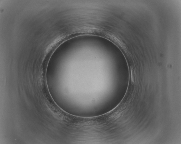 X0000074940675200609081351