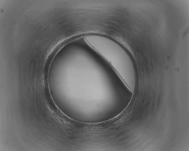 X0000074940676200609081351