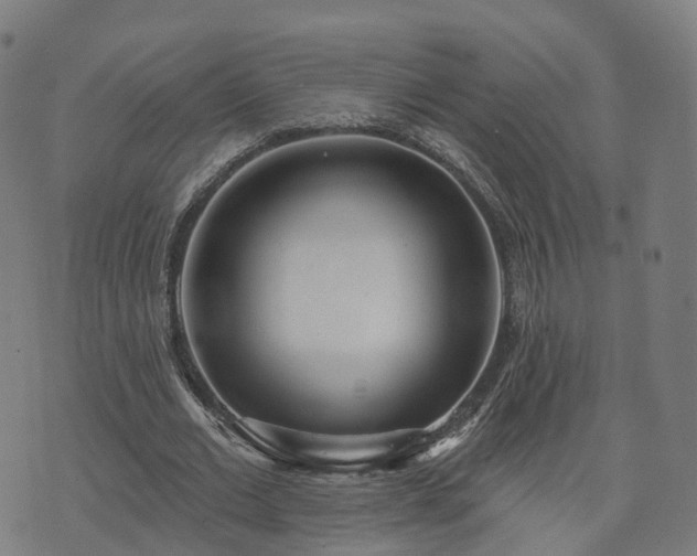 X0000074940677200609081351