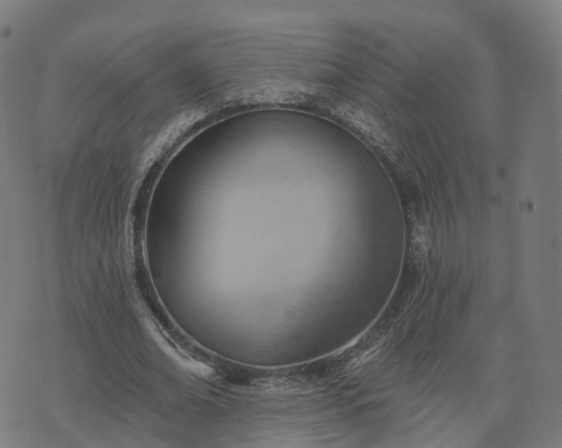 X0000074940678200609081351