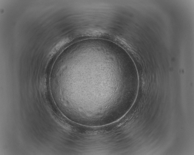 X0000074940679200609081351