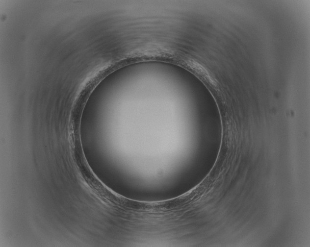 X0000074940680200609081351