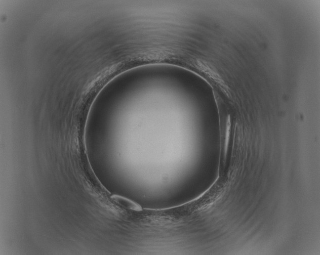 X0000074940681200609081351