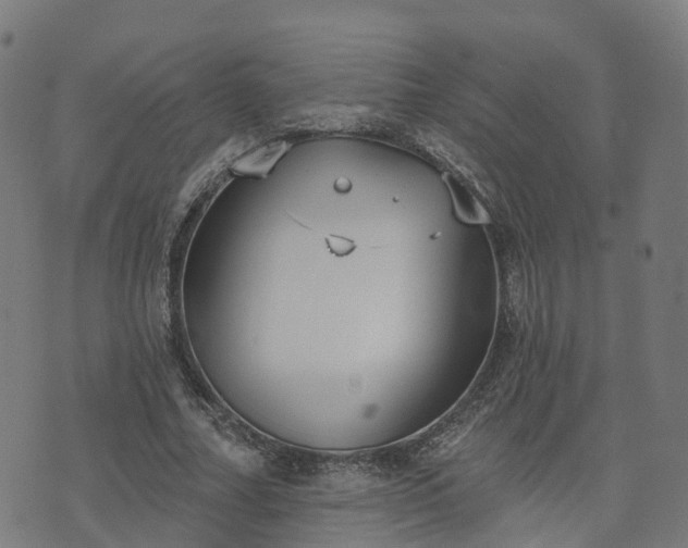 X0000074940682200609081351