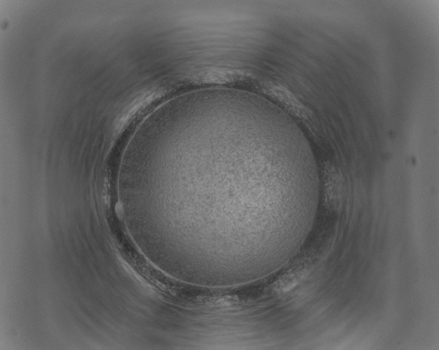 X0000074940683200609081351