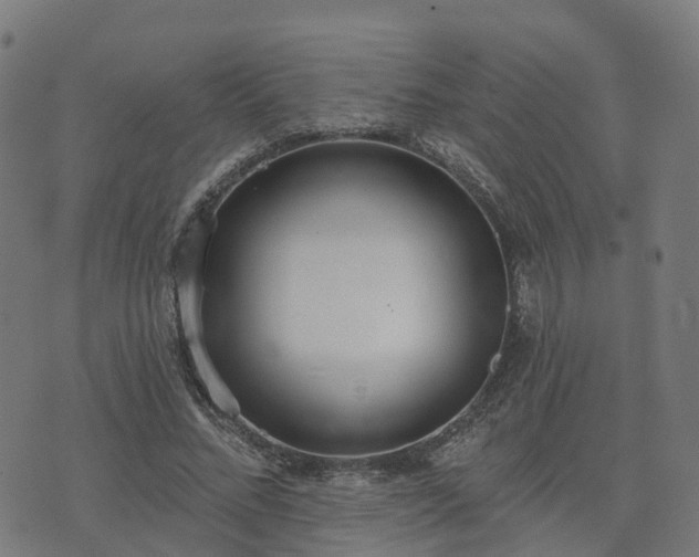 X0000074940684200609081351