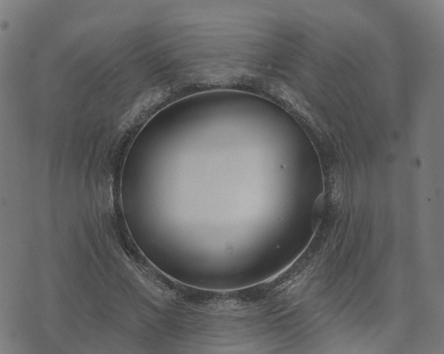 X0000074940685200609081351