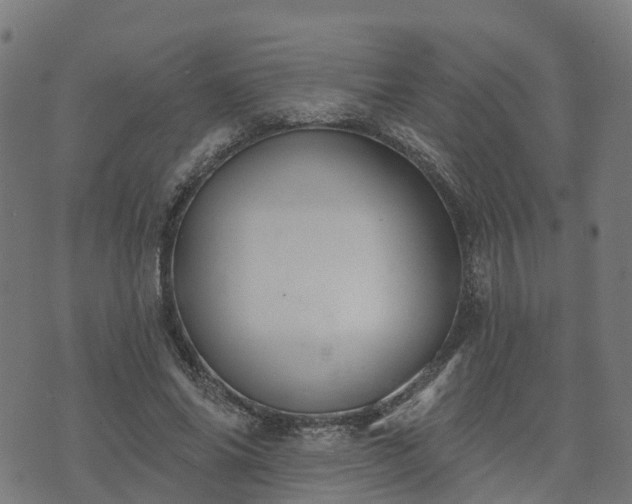 X0000074940686200609081351