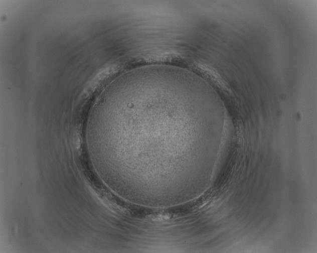 X0000074940687200609081351