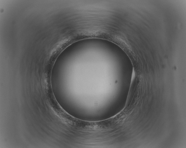 X0000074940688200609081351