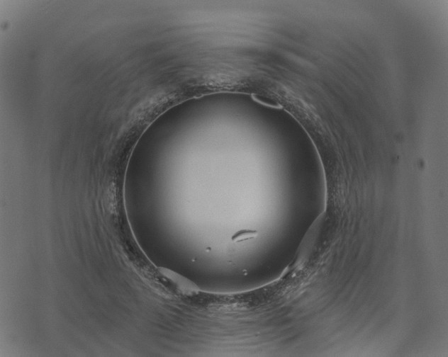 X0000074940689200609081351