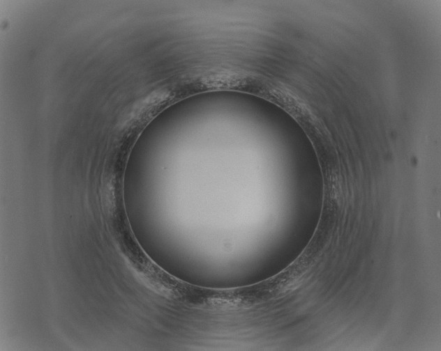 X0000074940690200609081351