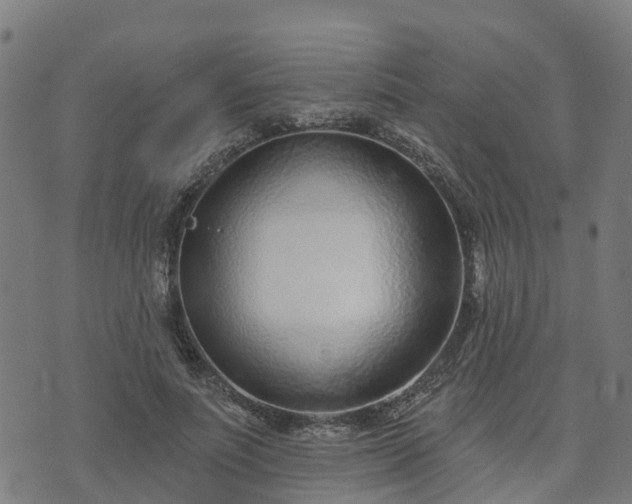 X0000074940691200609081351