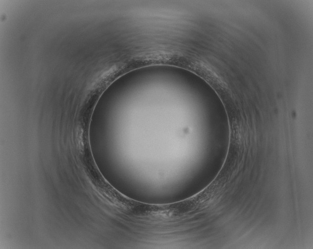 X0000074940692200609081351