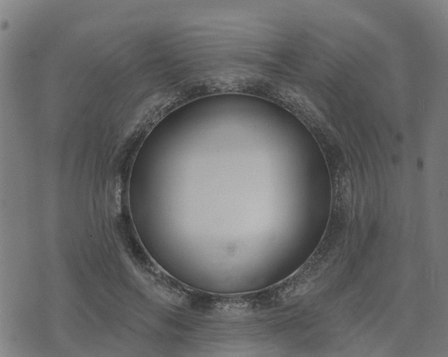 X0000074940694200609081351