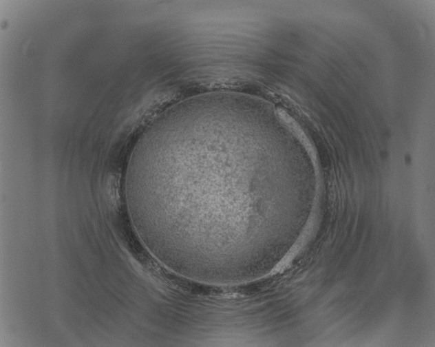 X0000074940695200609081351