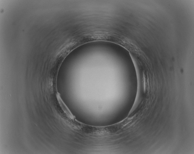 X0000074940696200609081351