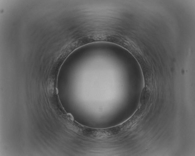 X0000074940697200609081351