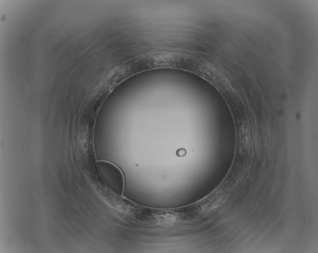 X0000074940698200609081351