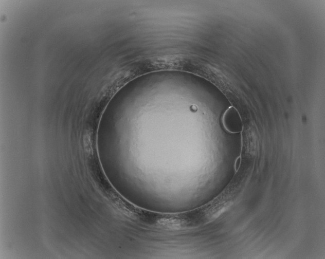 X0000074940699200609081351