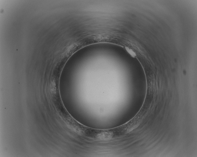 X0000074940700200609081351