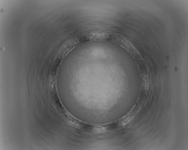 X0000074940701200609081351