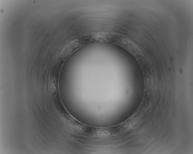 X0000074940702200609081351