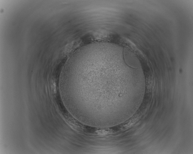 X0000074940703200609081351