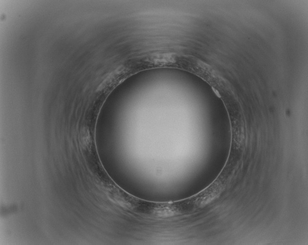 X0000074940704200609081351