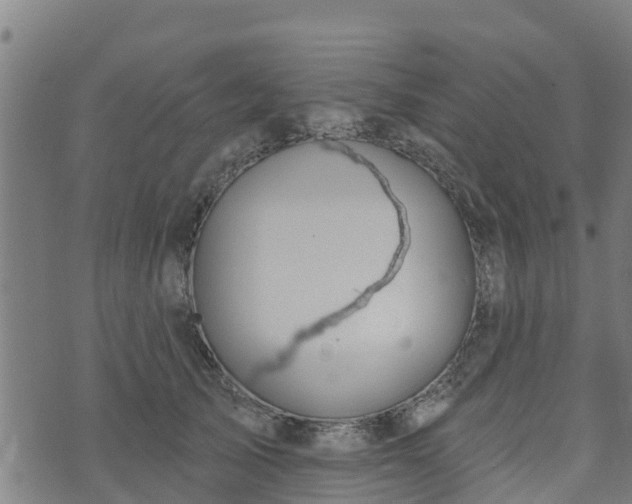 X0000074940705200609081351