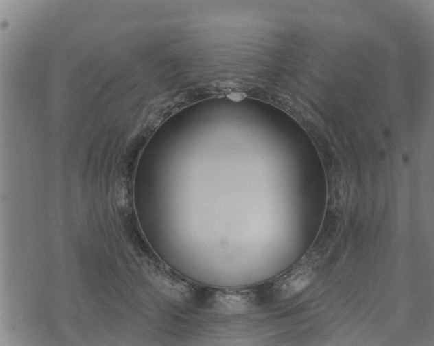 X0000074940706200609081351