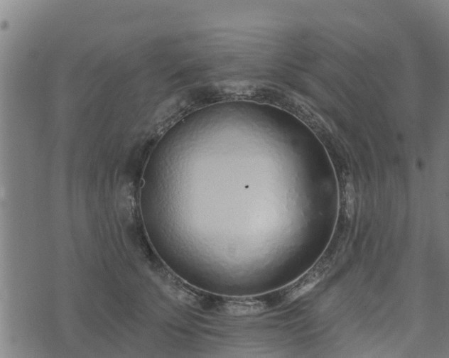 X0000074940707200609081351