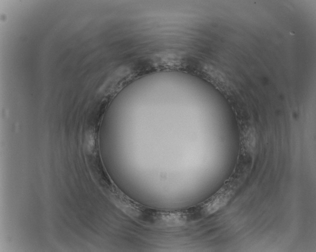 X0000074940709200609081351