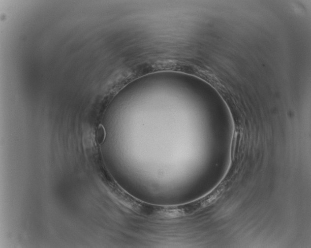 X0000074940711200609081351