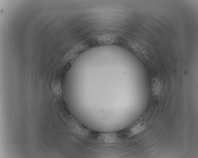 X0000074940713200609081351