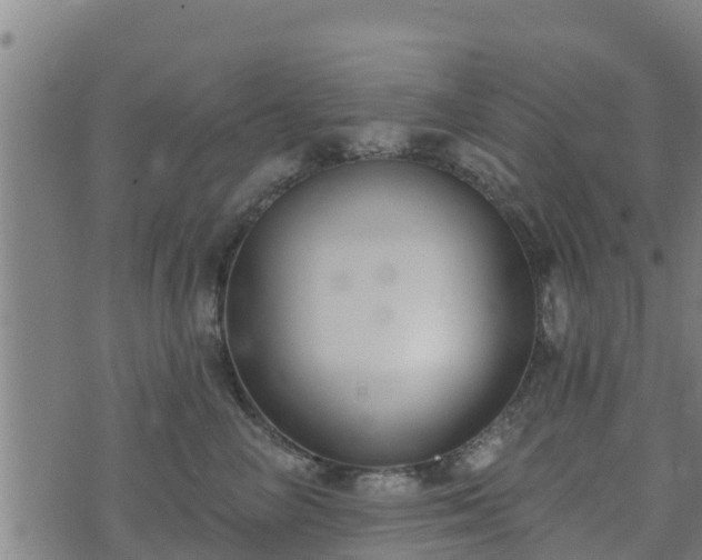 X0000074940714200609081351