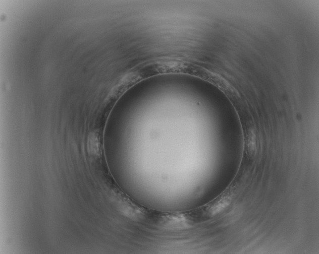 X0000074940715200609081351