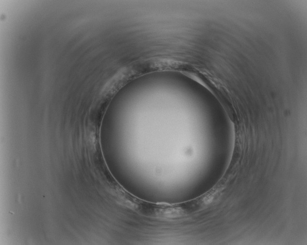 X0000074940716200609081351