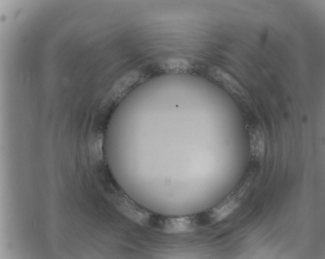 X0000074940717200609081351