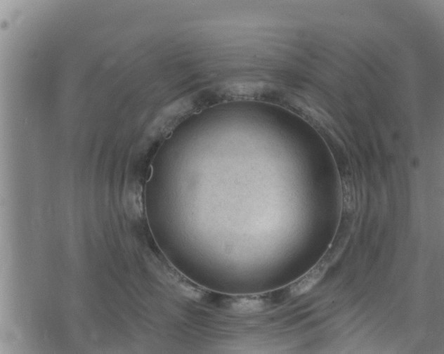 X0000074940718200609081351