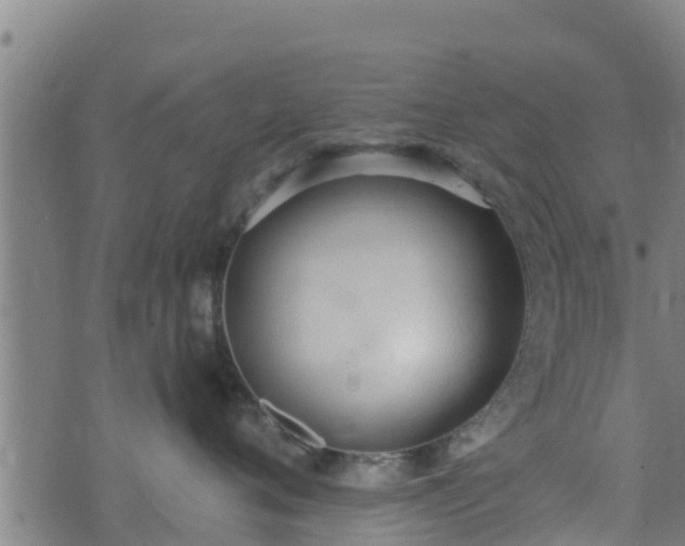 X0000074940720200609081351