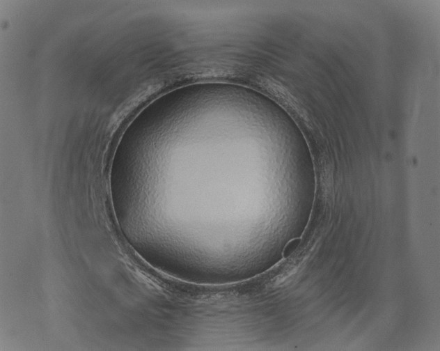 X0000074940721200609081350