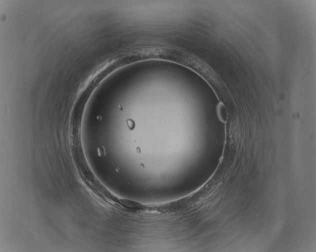 X0000074940722200609081350